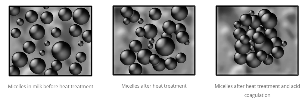 YOGURT MICELLES